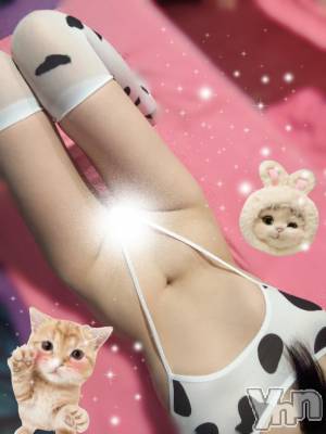 甲府ソープ オレンジハウス すみれ(26)の3月17日写メブログ「🤍本日から🤍」