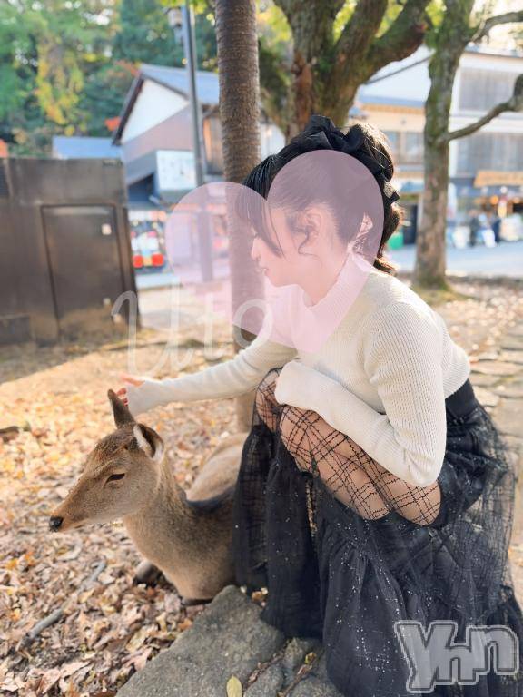 甲府ソープオレンジハウス うと(22)の3月22日写メブログ「うとしか勝たん❣️🦌」