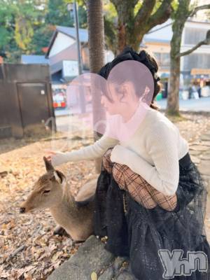 甲府ソープ オレンジハウス うと(22)の3月22日写メブログ「うとしか勝たん❣️🦌」