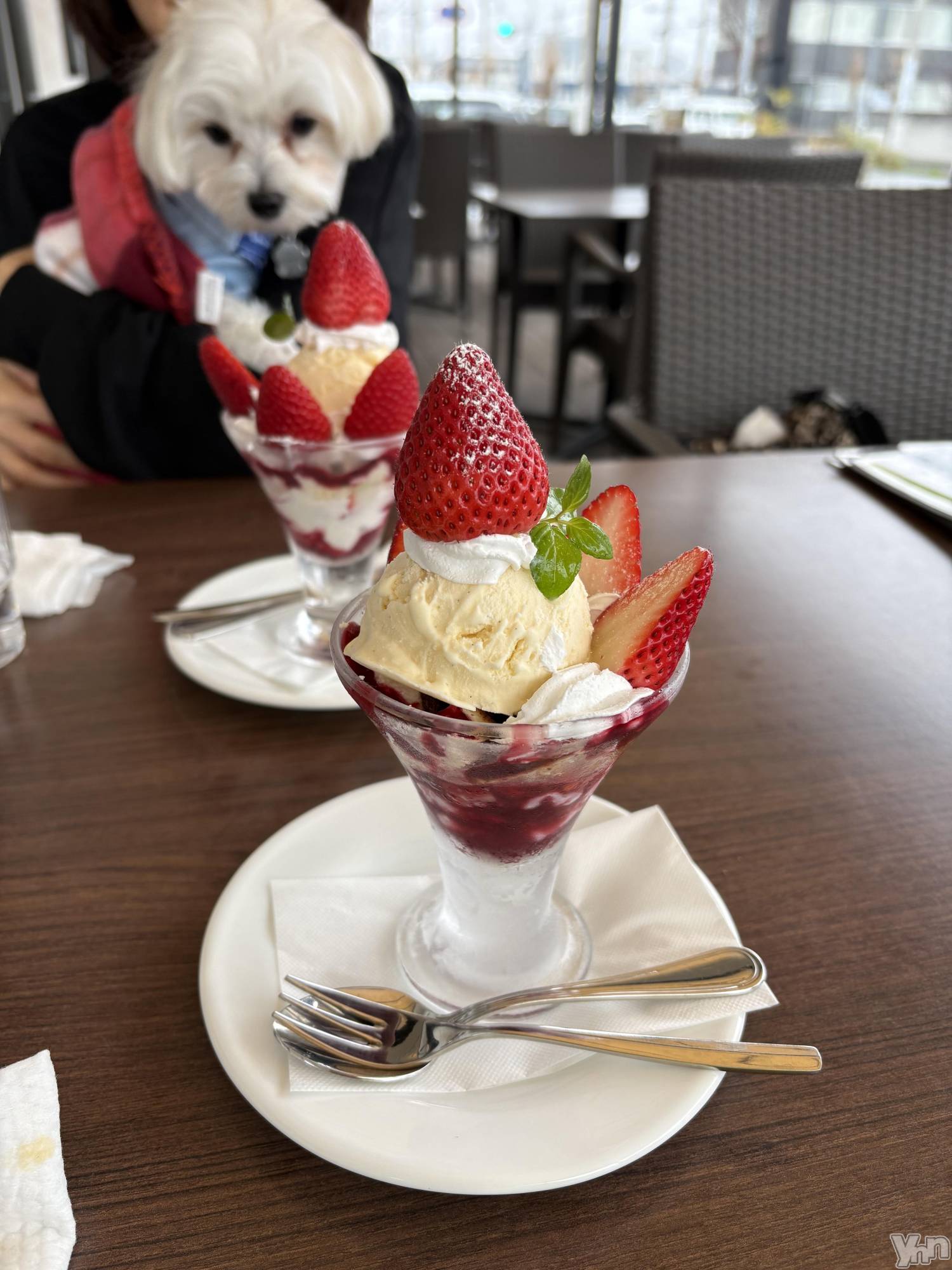 ���ܥ���Х��顦�����BRILLAR(�֥ꥸ�㡼��) ��2026ǯ3��26���̥�֥�����💖💖��