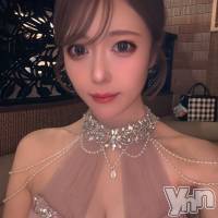 ���ܻԥ���Х��顦����� BRILLAR(�֥ꥸ�㡼��) �ͤ�β���(2����)