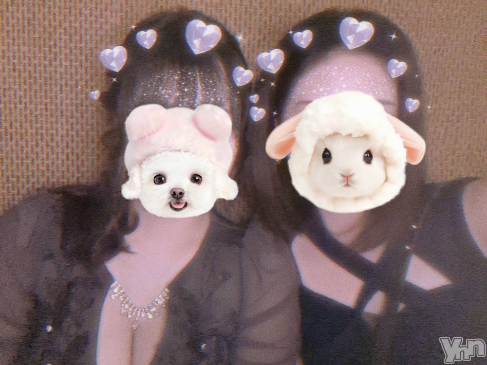 ���ܥ���Х��顦�����BRILLAR(�֥ꥸ�㡼��) ŷ�� ����5��21���̥�֥����֤���ԤȤ���ä����