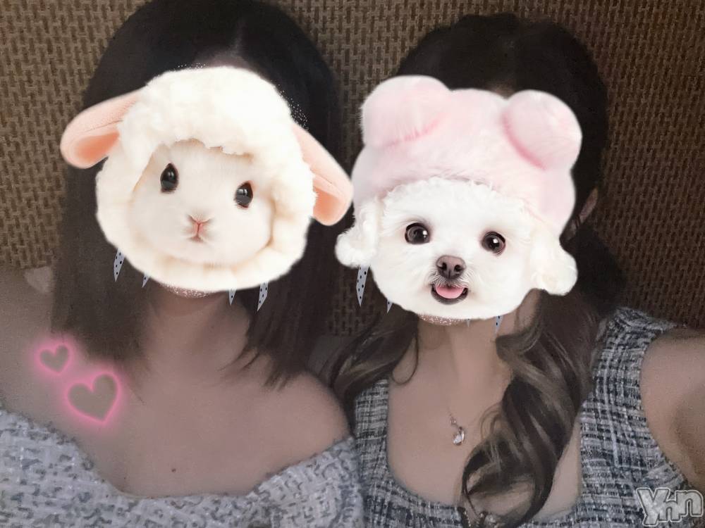 ���ܥ���Х��顦�����BRILLAR(�֥ꥸ�㡼��) ŷ�� ����5��30���̥�֥����֤���ФäƤ���ä��󡪡�