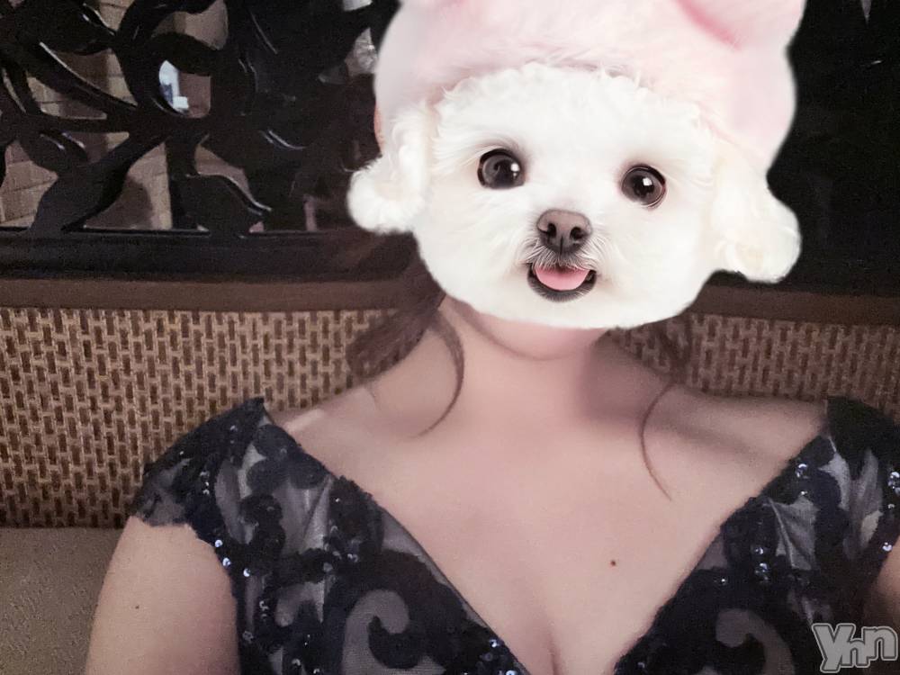 ���ܥ���Х��顦�����BRILLAR(�֥ꥸ�㡼��) ŷ�� ����7��10���̥�֥����ֺ�����жС���