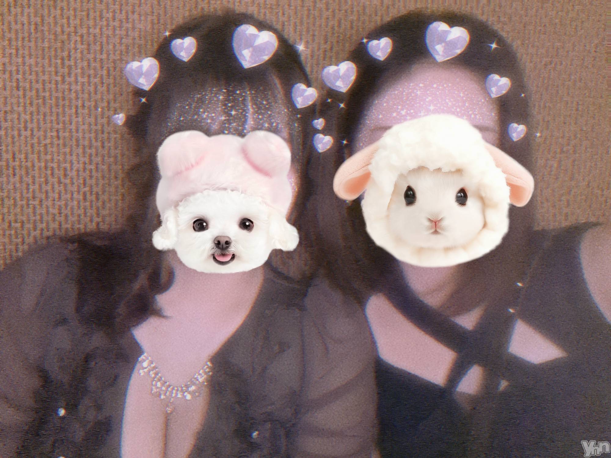 ���ܥ���Х��顦�����BRILLAR(�֥ꥸ�㡼��) ��2025ǯ5��21���̥�֥����֤���ԤȤ���ä����