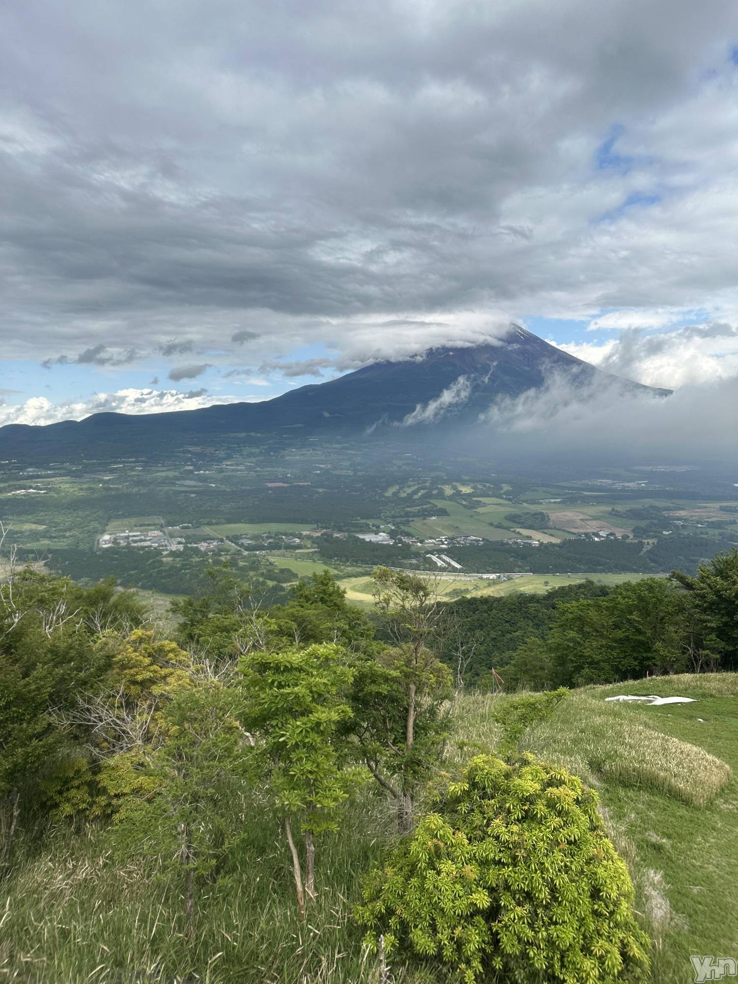 ���ܥ���Х��顦�����BRILLAR(�֥ꥸ�㡼��) ��2025ǯ6��2���̥�֥����֤��줤�ʤ�������