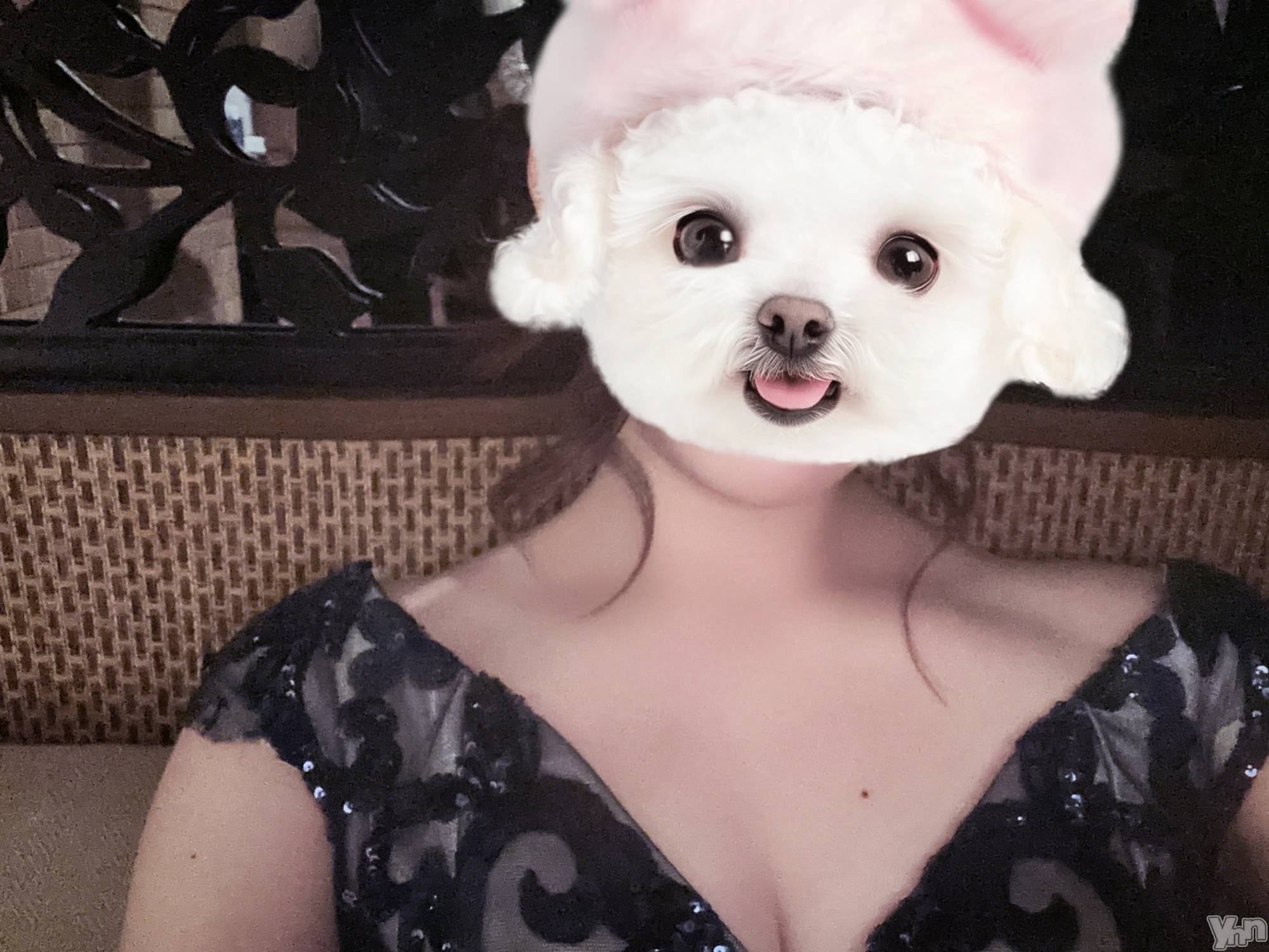 ���ܥ���Х��顦�����BRILLAR(�֥ꥸ�㡼��) ��2025ǯ7��10���̥�֥����ֺ�����жС���