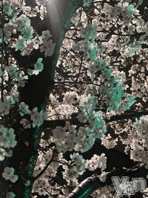 ���ܥ���Х��顦�����BRILLAR(�֥ꥸ�㡼��) ŷ�� ����4��2���̥�֥���������⤭�줤��