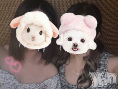 ���ܥ���Х��顦�����BRILLAR(�֥ꥸ�㡼��) ŷ�� ����5��30���̥�֥����֤���ФäƤ���ä��󡪡�