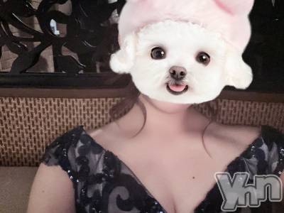 ���ܥ���Х��顦�����BRILLAR(�֥ꥸ�㡼��) ŷ�� ����7��10���̥�֥����ֺ�����жС���