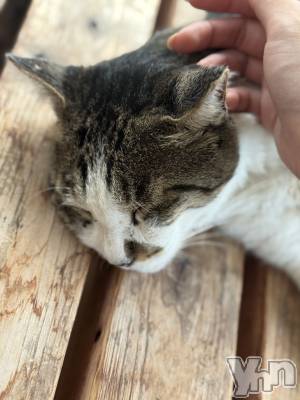 ���ܥ���Х��顦�����BRILLAR(�֥ꥸ�㡼��) ŷ�� ����9��2���̥�֥����֤ͤ�����İ���😽��