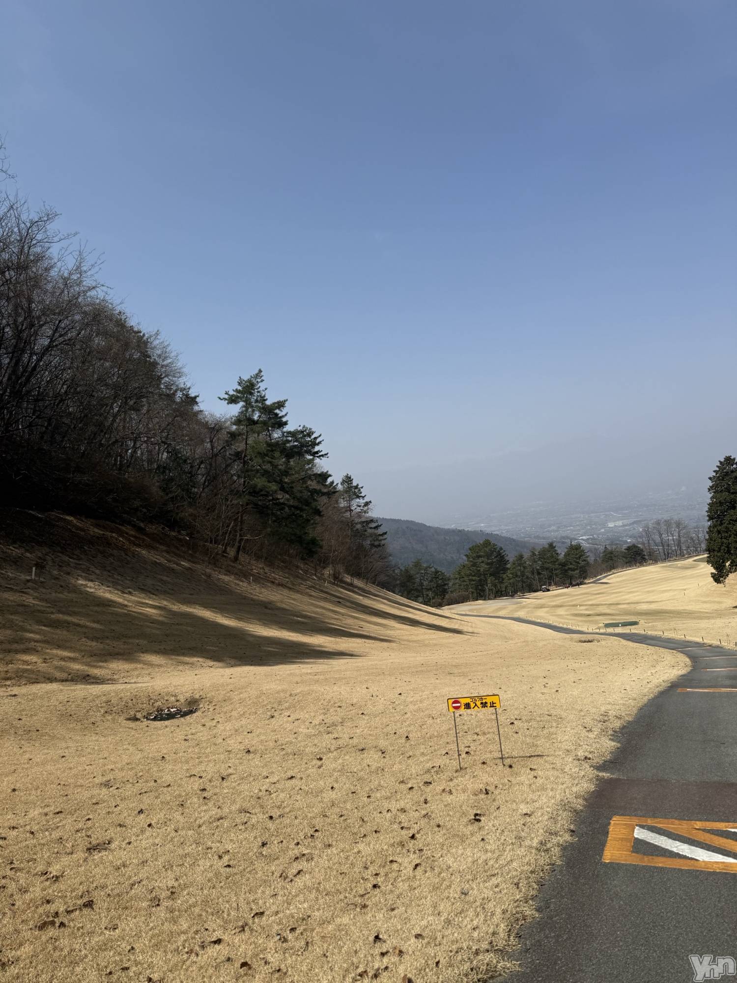 ���ܥ���Х��顦�����BRILLAR(�֥ꥸ�㡼��) ��2025ǯ3��28���̥�֥����ֽж�☺️��