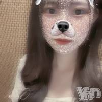 �椤(�ҥߥ�) ��Ĺ160cm�����ܥ���Х��顦����� BRILLAR(�֥ꥸ�㡼��)���ҡ�