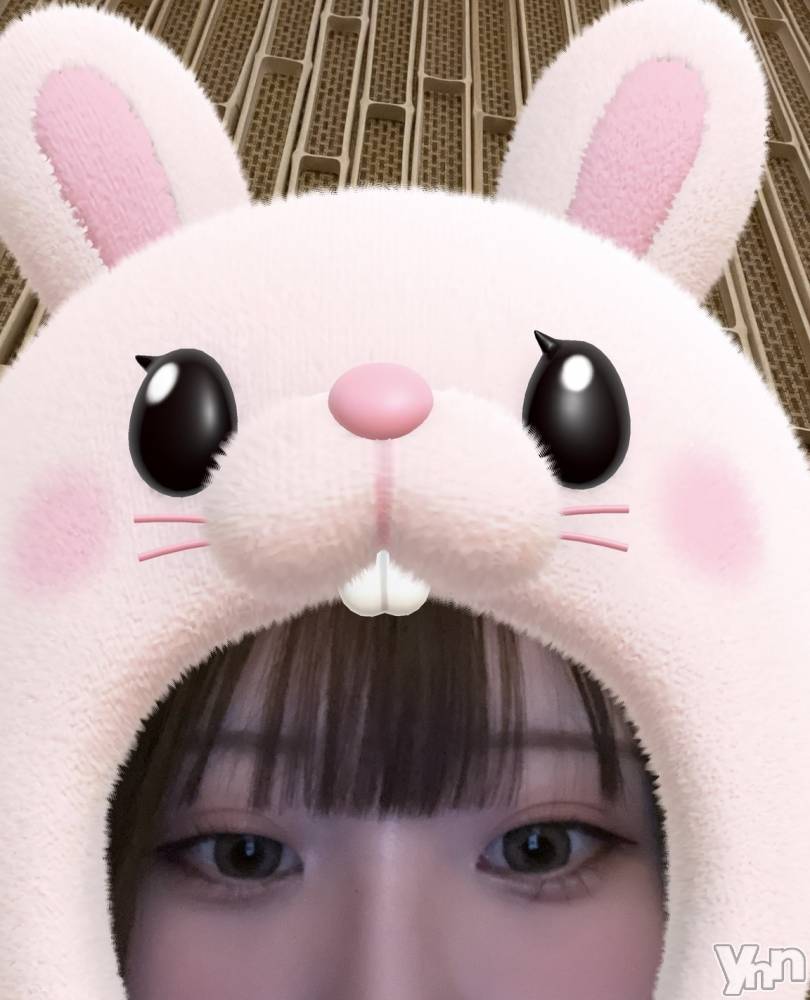 ���ܥ���Х��顦�����BRILLAR(�֥ꥸ�㡼��) ����5��10���̥�֥�����🌼5��🌼��