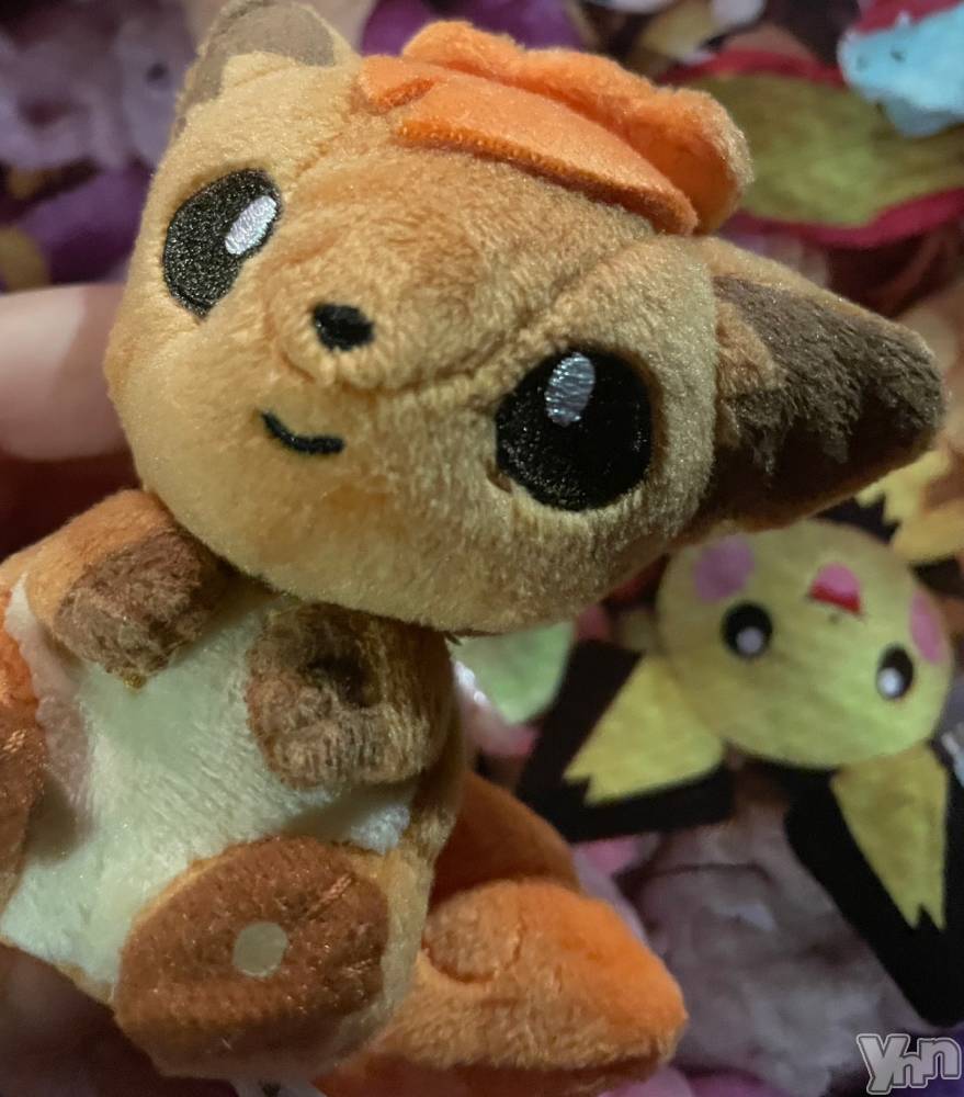 ���ܥ���Х��顦�����BRILLAR(�֥ꥸ�㡼��) ����11��29���̥�֥�����✨�̤������✨��