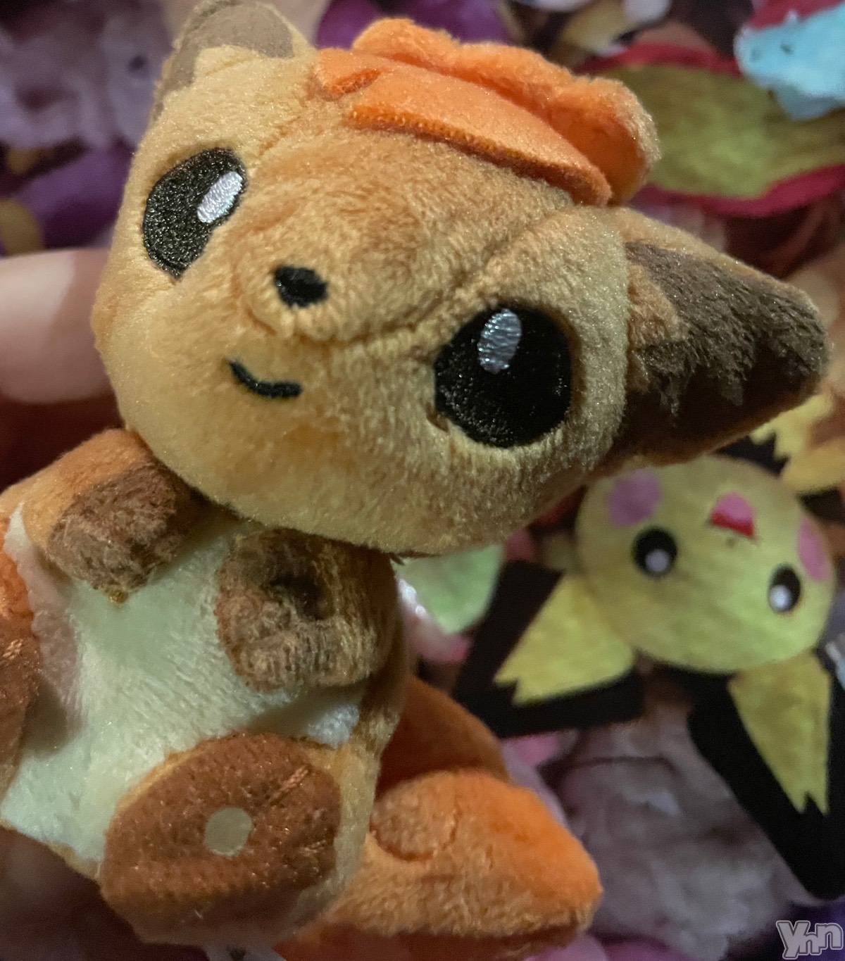 ���ܥ���Х��顦�����BRILLAR(�֥ꥸ�㡼��) ��2025ǯ11��29���̥�֥�����✨�̤������✨��