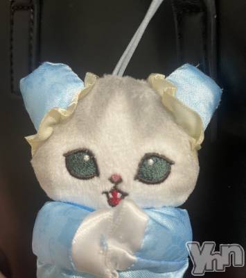 ���ܥ���Х��顦�����BRILLAR(�֥ꥸ�㡼��) ����5��17���̥�֥����֤���������😸��