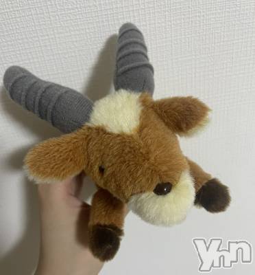 ���ܥ���Х��顦�����BRILLAR(�֥ꥸ�㡼��) ����8��30���̥�֥����֥�å���🦌��