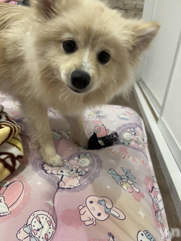 ���ܥ���Х��顦�����BRILLAR(�֥ꥸ�㡼��) ���� ɴ����6��6���̥�֥����֤����Υ��å̤��˲����