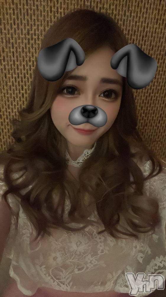 ���ܥ���Х��顦�����BRILLAR(�֥ꥸ�㡼��) ���� ɴ����10��28���̥�֥�����🐶🐾��