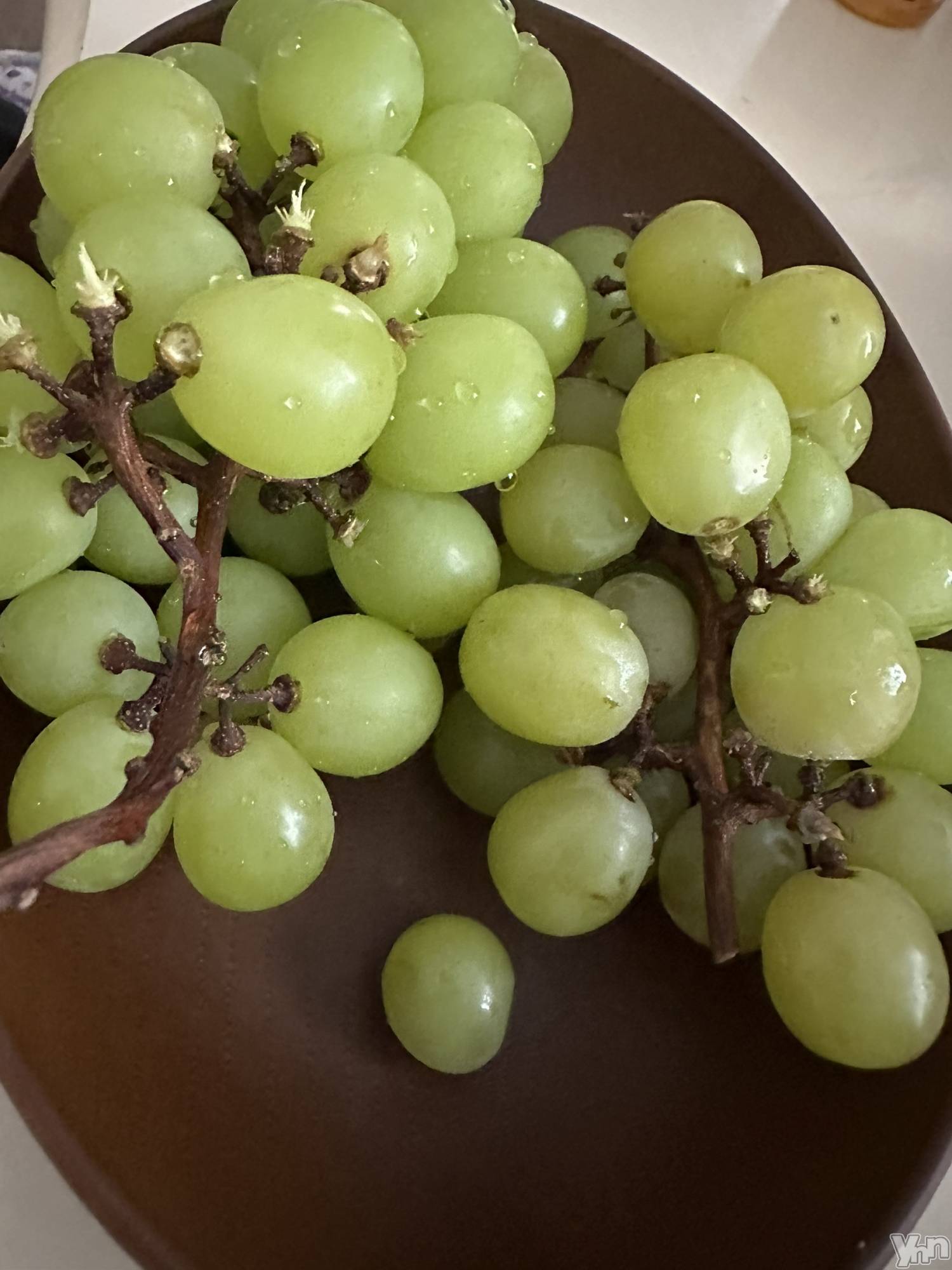 ���ܥ���Х��顦�����BRILLAR(�֥ꥸ�㡼��) ��2025ǯ9��8���̥�֥����ֻ���������🍇��