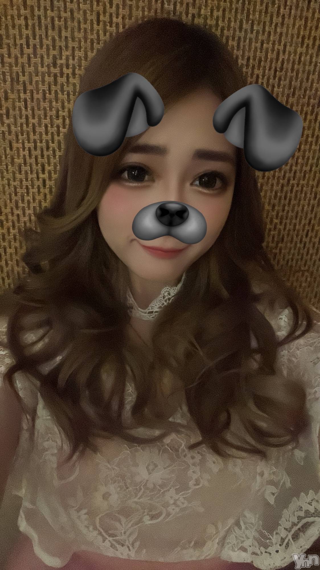 ���ܥ���Х��顦�����BRILLAR(�֥ꥸ�㡼��) ��2025ǯ10��28���̥�֥�����🐶🐾��