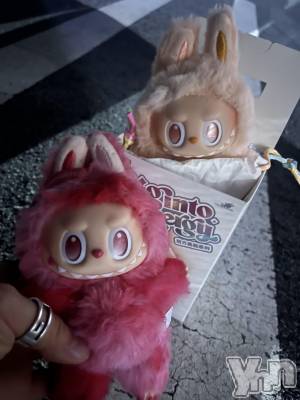 ���ܥ���Х��顦�����BRILLAR(�֥ꥸ�㡼��) ���� ɴ��(26)��9��2���̥�֥����֤�֤�❤️ᩚ��