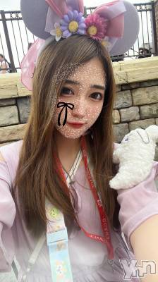  ɴ(26) Ĺ153cmܥХ顦 BRILLAR(֥ꥸ㡼)ҡ