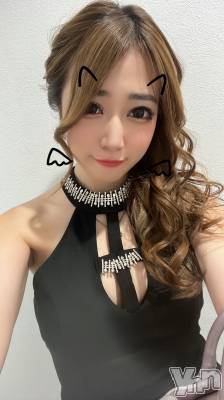 ���ܥ���Х��顦�����BRILLAR(�֥ꥸ�㡼��) ���� ɴ��(26)��11��1���̥�֥�����🖤🖤🖤��