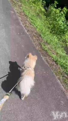 �²ȵ���🐶