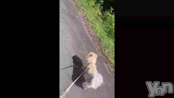 �ּ²ȵ���🐶��