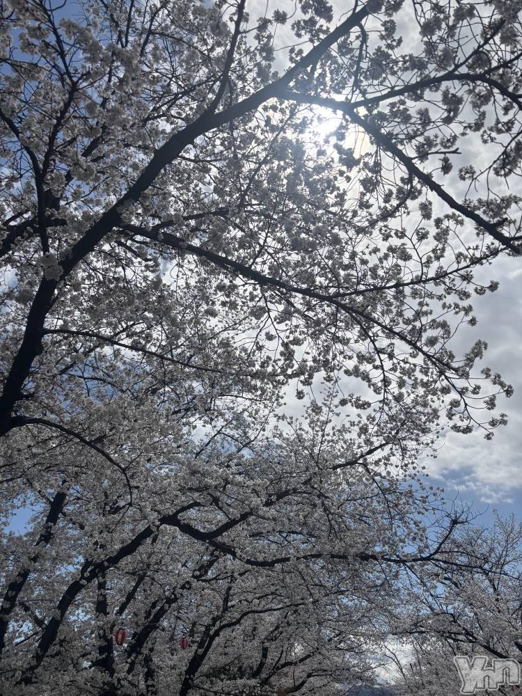 ���ܥ���Х��顦�����BRILLAR(�֥ꥸ�㡼��) �ꤵ��4��4���̥�֥����ֺ���