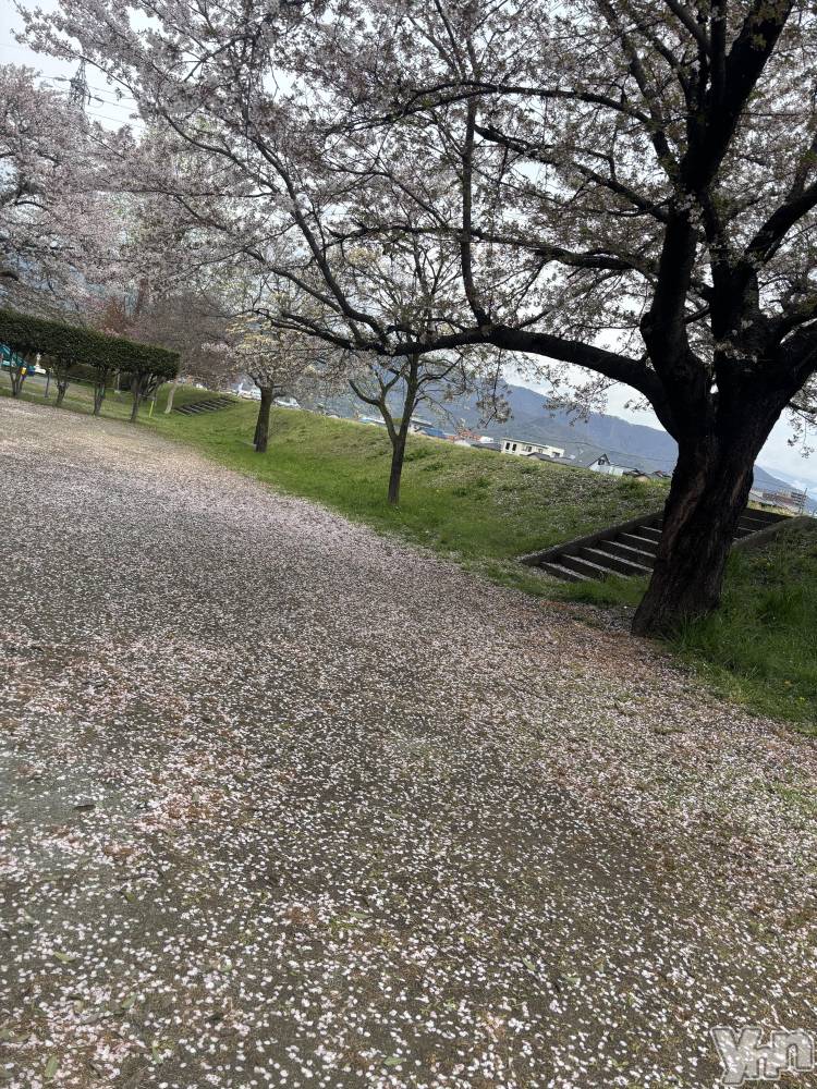 ���ܥ���Х��顦�����BRILLAR(�֥ꥸ�㡼��) �ꤵ��4��11���̥�֥����֤������