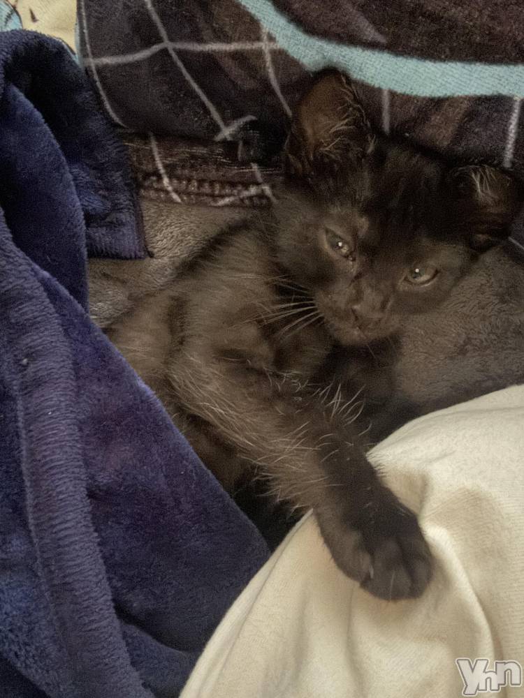 ���ܥ���Х��顦�����BRILLAR(�֥ꥸ�㡼��) �ꤵ��6��2���̥�֥����ֲ�²�Ҳ�Part2��