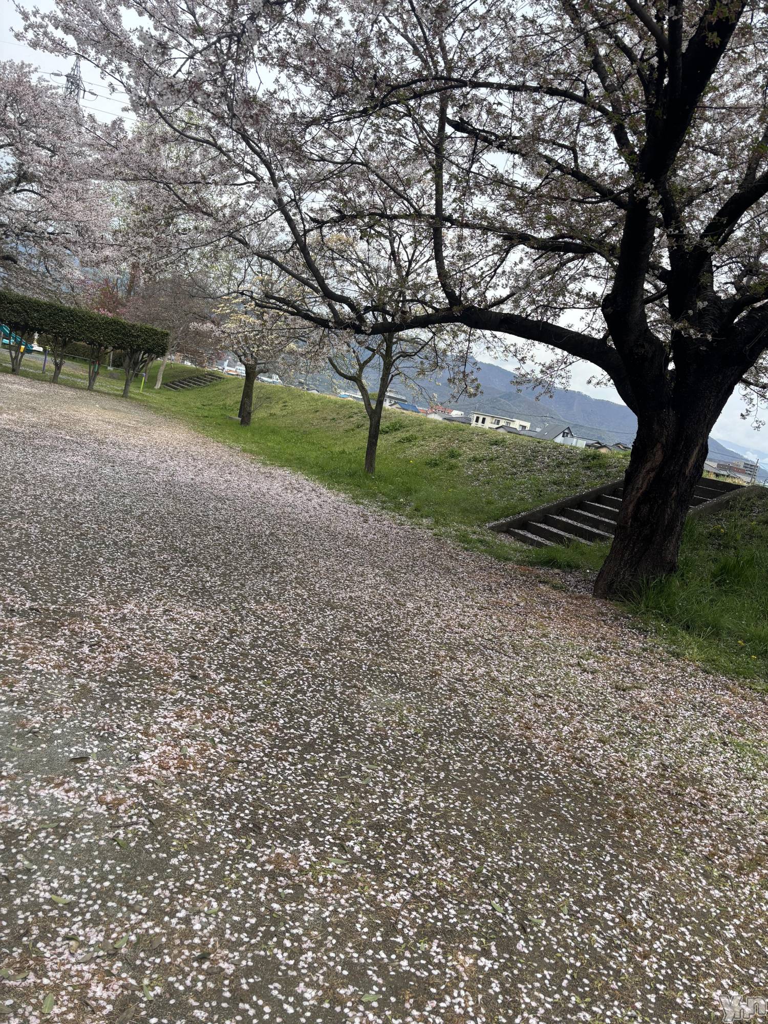 ���ܥ���Х��顦�����BRILLAR(�֥ꥸ�㡼��) ��2025ǯ4��11���̥�֥����֤������