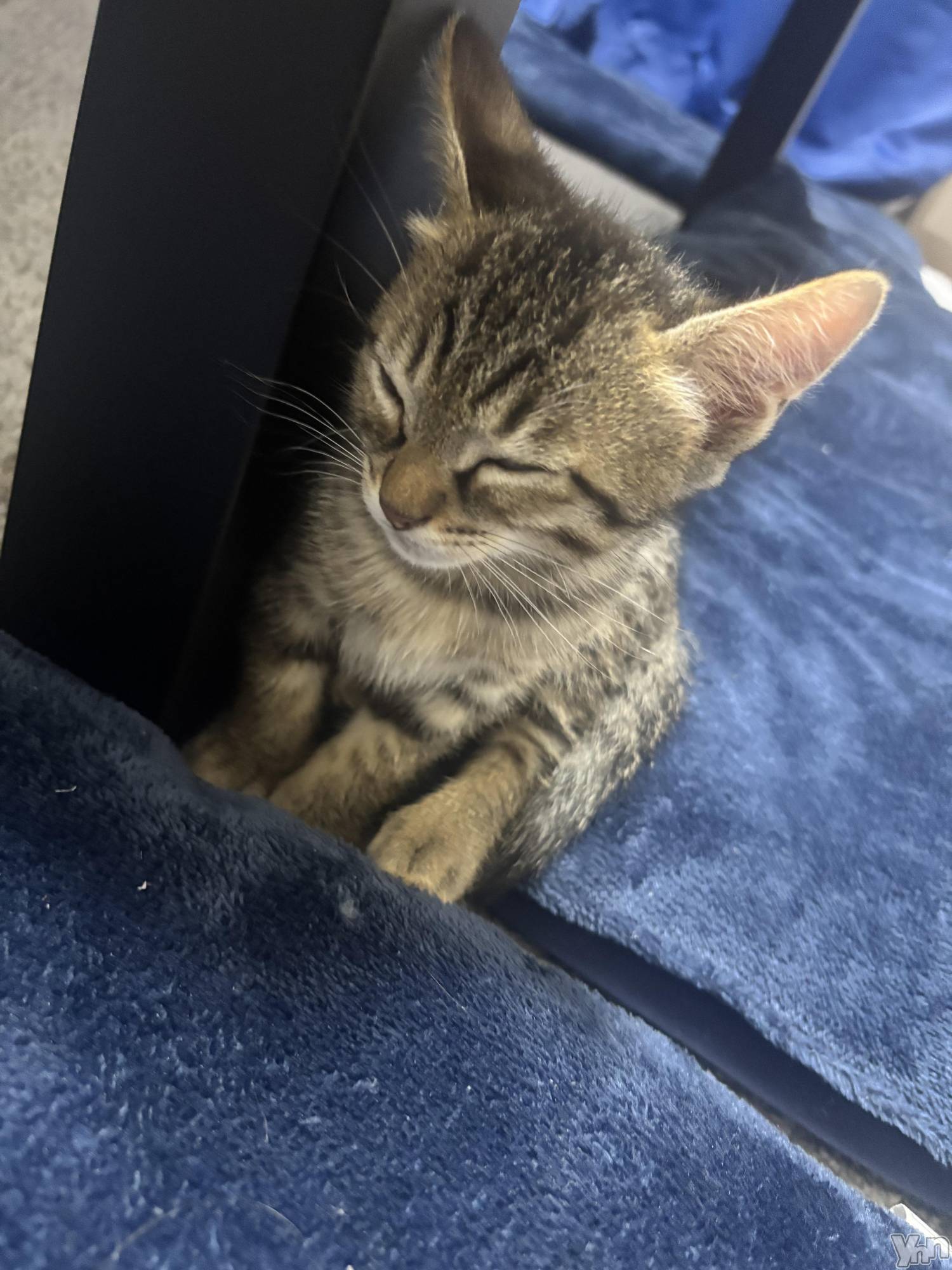 ���ܥ���Х��顦�����BRILLAR(�֥ꥸ�㡼��) ��2025ǯ5��25���̥�֥����ֲ�²�������ޤ�����part1��