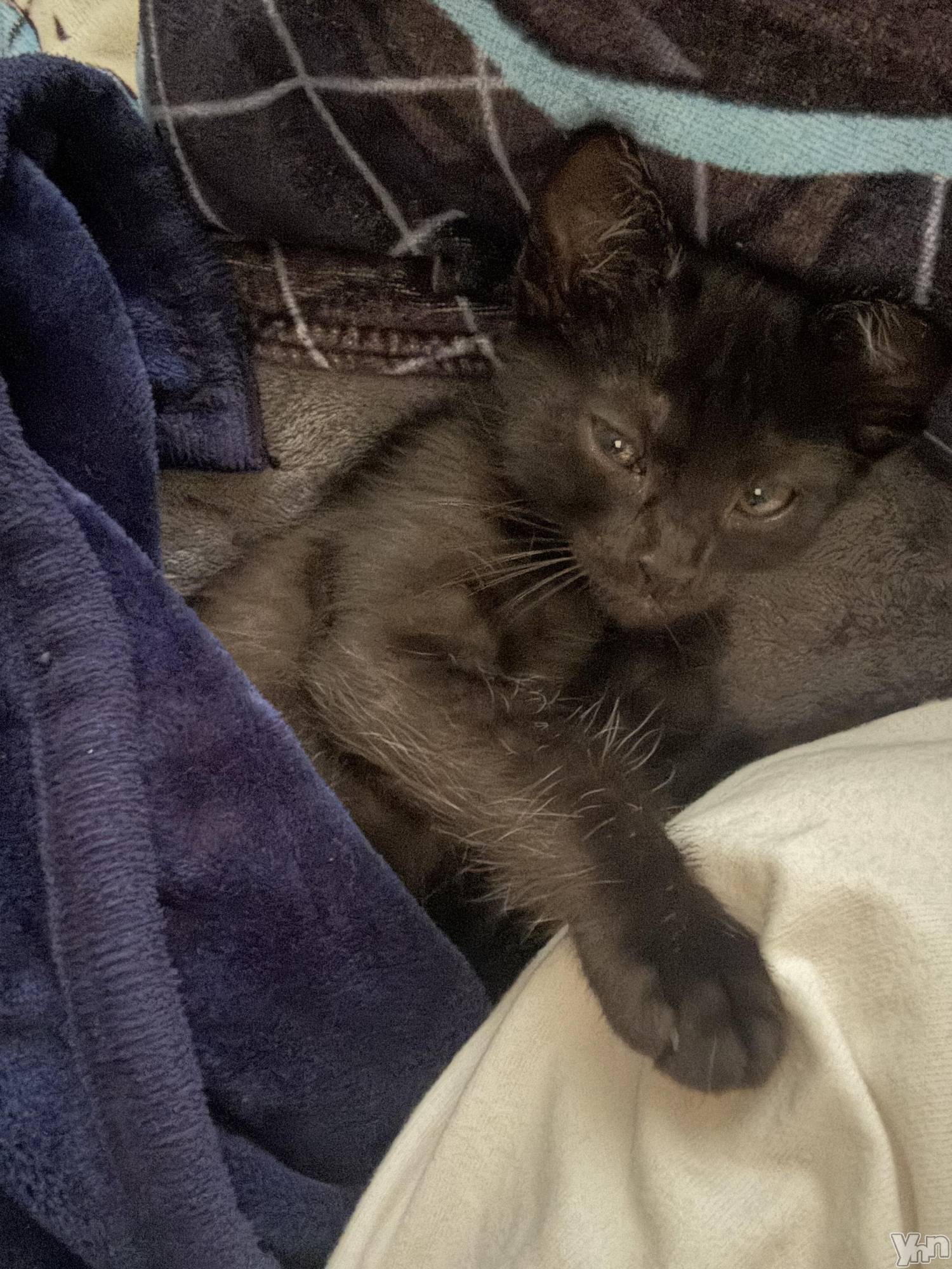 ���ܥ���Х��顦�����BRILLAR(�֥ꥸ�㡼��) ��2025ǯ6��2���̥�֥����ֲ�²�Ҳ�Part2��