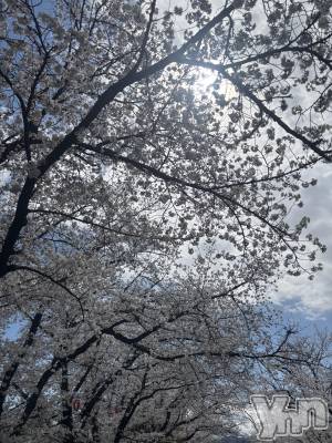 ���ܥ���Х��顦�����BRILLAR(�֥ꥸ�㡼��) �ꤵ��4��4���̥�֥����ֺ���