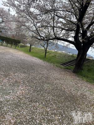 ���ܥ���Х��顦�����BRILLAR(�֥ꥸ�㡼��) �ꤵ��4��11���̥�֥����֤������