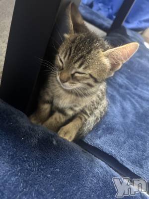 ���ܥ���Х��顦�����BRILLAR(�֥ꥸ�㡼��) �ꤵ��5��25���̥�֥����ֲ�²�������ޤ�����part1��