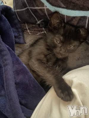 ���ܥ���Х��顦�����BRILLAR(�֥ꥸ�㡼��) �ꤵ��6��2���̥�֥����ֲ�²�Ҳ�Part2��