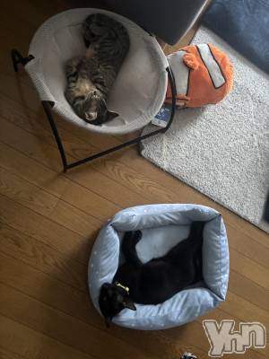 ���ܥ���Х��顦�����BRILLAR(�֥ꥸ�㡼��) �ꤵ��7��3���̥�֥�����2ɤ�Ȥ��