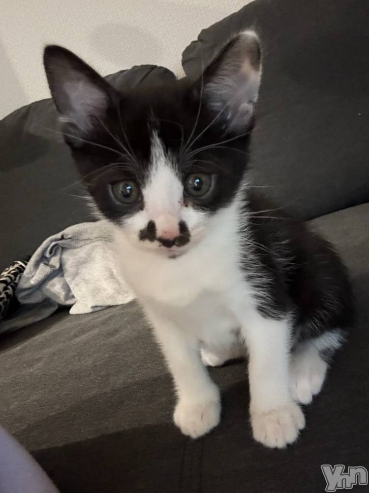 ���ܥ���Х��顦�����BRILLAR(�֥ꥸ�㡼��) �ʥʤ�5��23���̥�֥����֤郎�Ȥؤ褦������🏠‪︎💕��