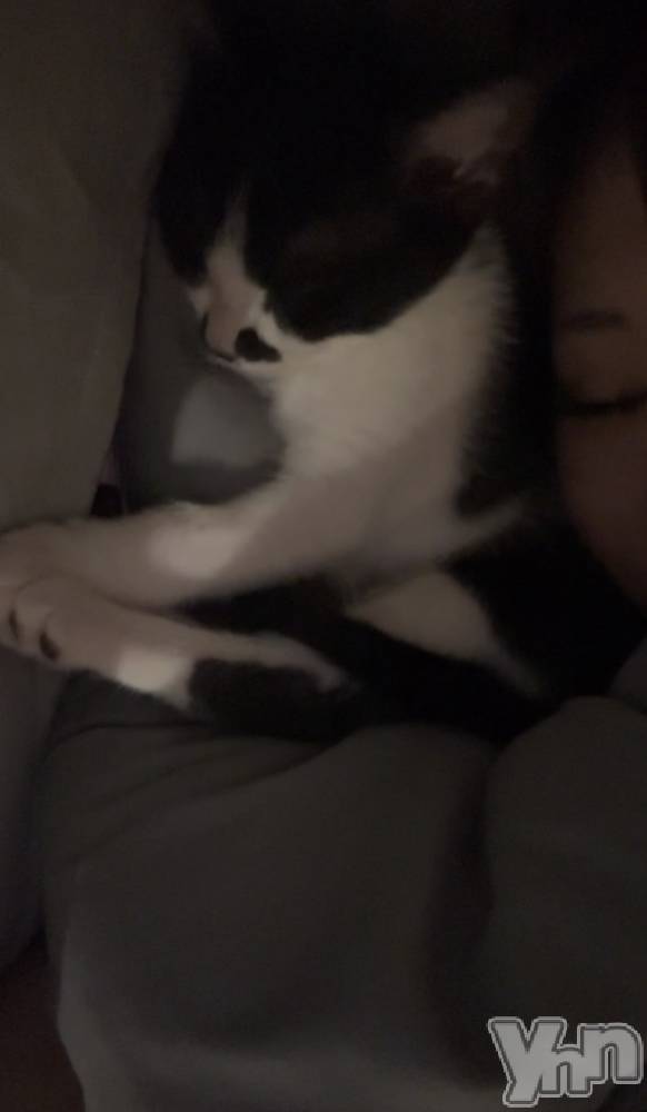 ���ܥ���Х��顦�����BRILLAR(�֥ꥸ�㡼��) �ʥʤ�5��30���̥�֥����֤ͤ�͡�