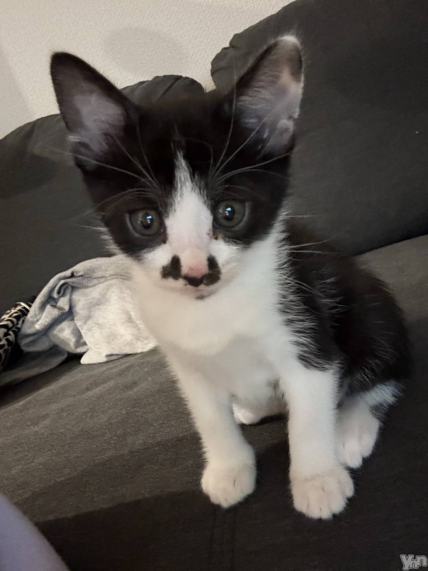 ���ܥ���Х��顦�����BRILLAR(�֥ꥸ�㡼��) ��2025ǯ5��23���̥�֥����֤郎�Ȥؤ褦������🏠‪︎💕��