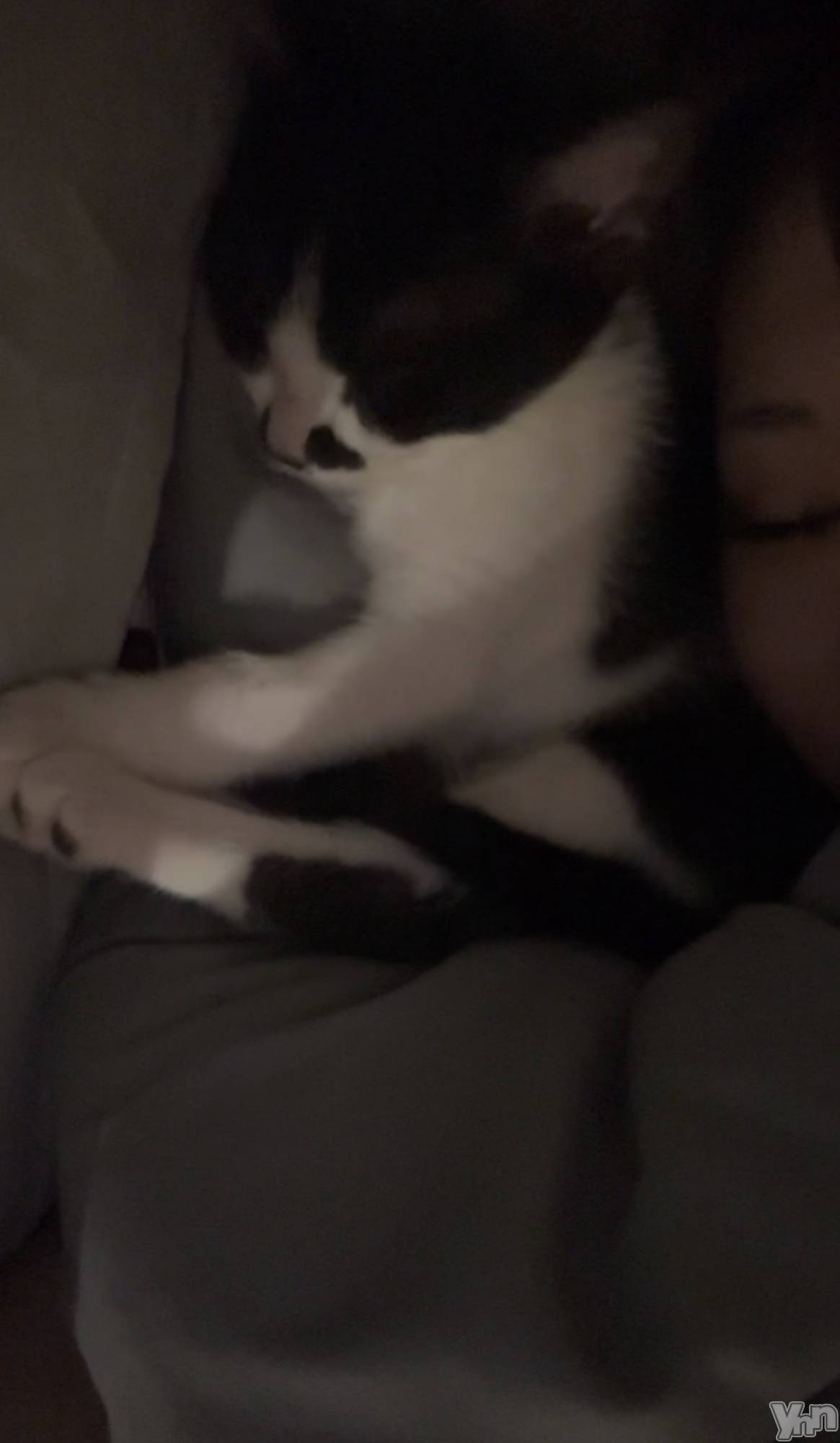 ���ܥ���Х��顦�����BRILLAR(�֥ꥸ�㡼��) ��2025ǯ5��30���̥�֥����֤ͤ�͡�