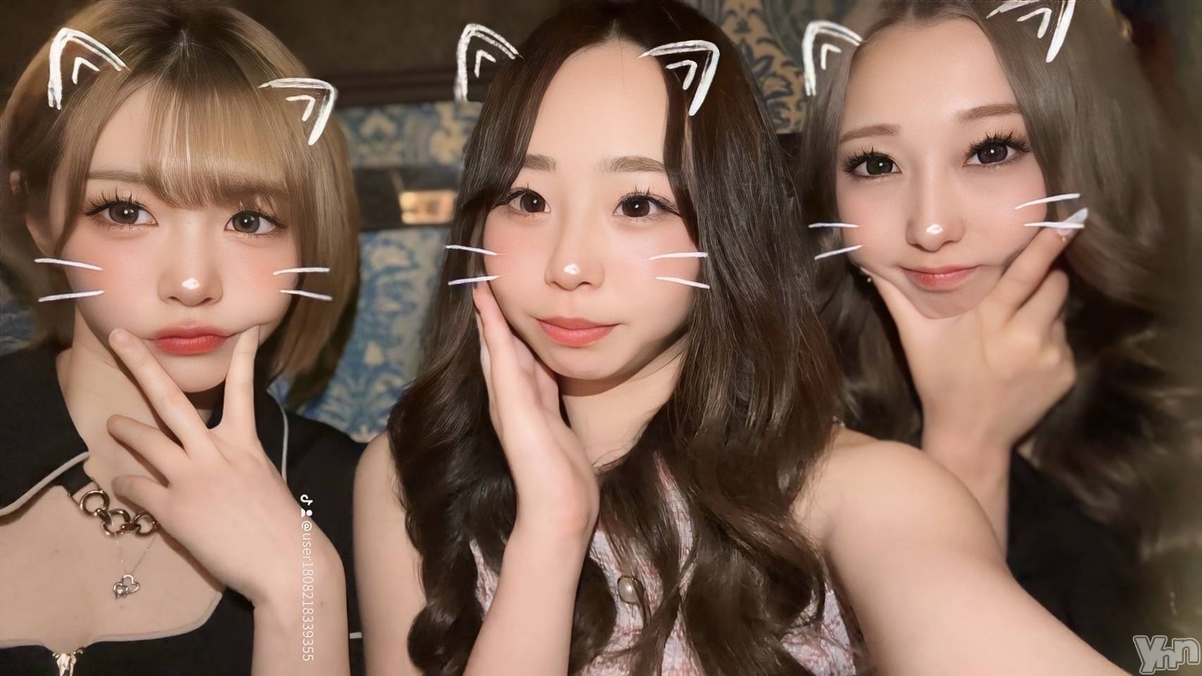 ���ܥ���Х��顦�����BRILLAR(�֥ꥸ�㡼��) ��2025ǯ6��4���̥�֥����֤ˤ㡼�����