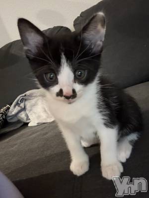 ���ܥ���Х��顦�����BRILLAR(�֥ꥸ�㡼��) �ʥ�(21)��5��23���̥�֥����֤郎�Ȥؤ褦������🏠‪︎💕��