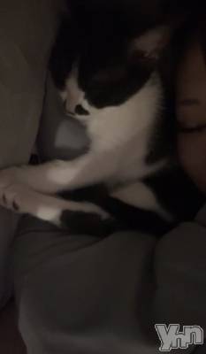 ���ܥ���Х��顦�����BRILLAR(�֥ꥸ�㡼��) �ʥ�(21)��5��30���̥�֥����֤ͤ�͡�