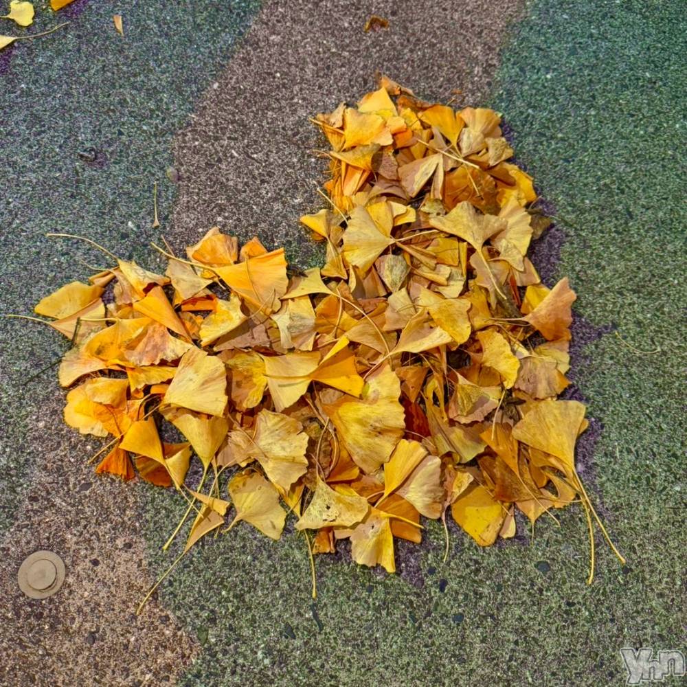 ���ܥ���Х��顦�����BRILLAR(�֥ꥸ�㡼��) �ʤʤߤ�5��4���̥�֥�����#27��